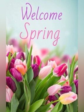 Meet your Posher, Briana